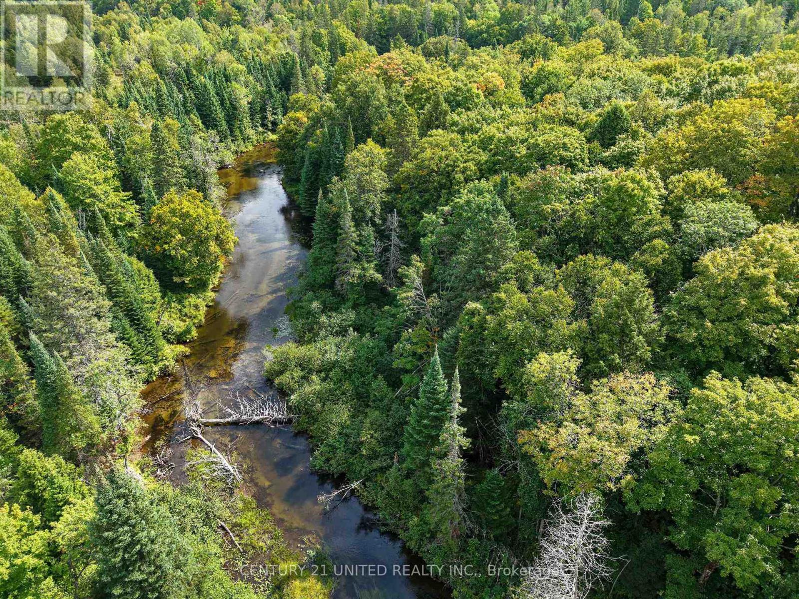 428 Jeff Road, North Kawartha, Ontario  K0L 1C0 - Photo 14 - X12833496