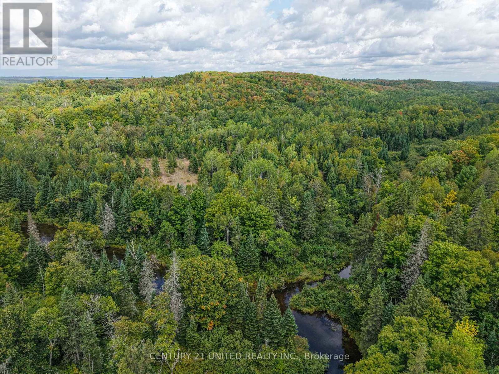 428 Jeff Road, North Kawartha, Ontario  K0L 1C0 - Photo 17 - X12833496