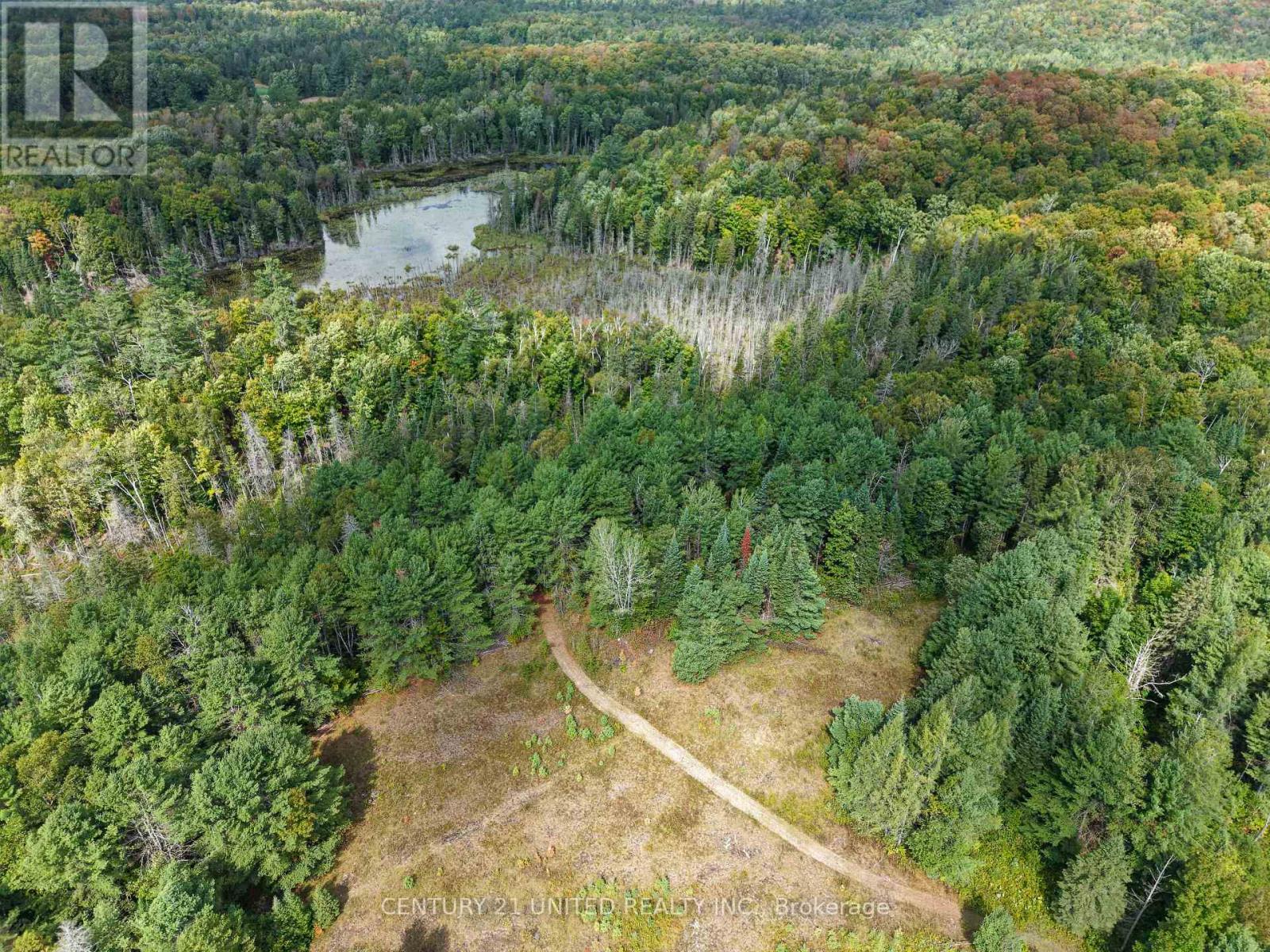 428 Jeff Road, North Kawartha, Ontario  K0L 1C0 - Photo 23 - X12833496