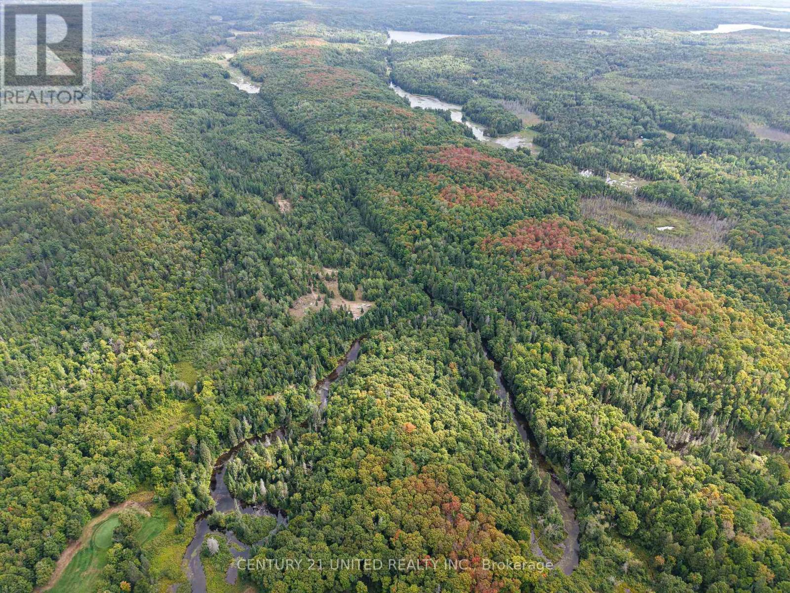 428 Jeff Road, North Kawartha, Ontario  K0L 1C0 - Photo 25 - X12833496