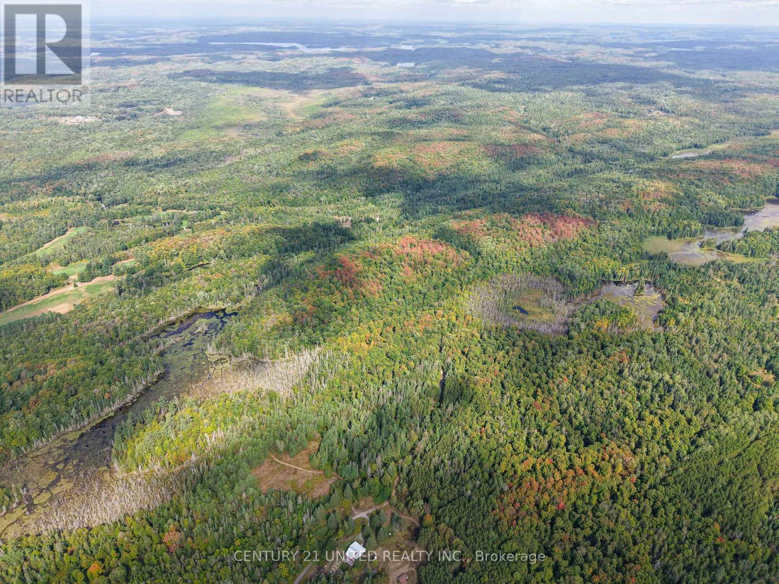 428 Jeff Road, North Kawartha, Ontario  K0L 1C0 - Photo 26 - X12833496