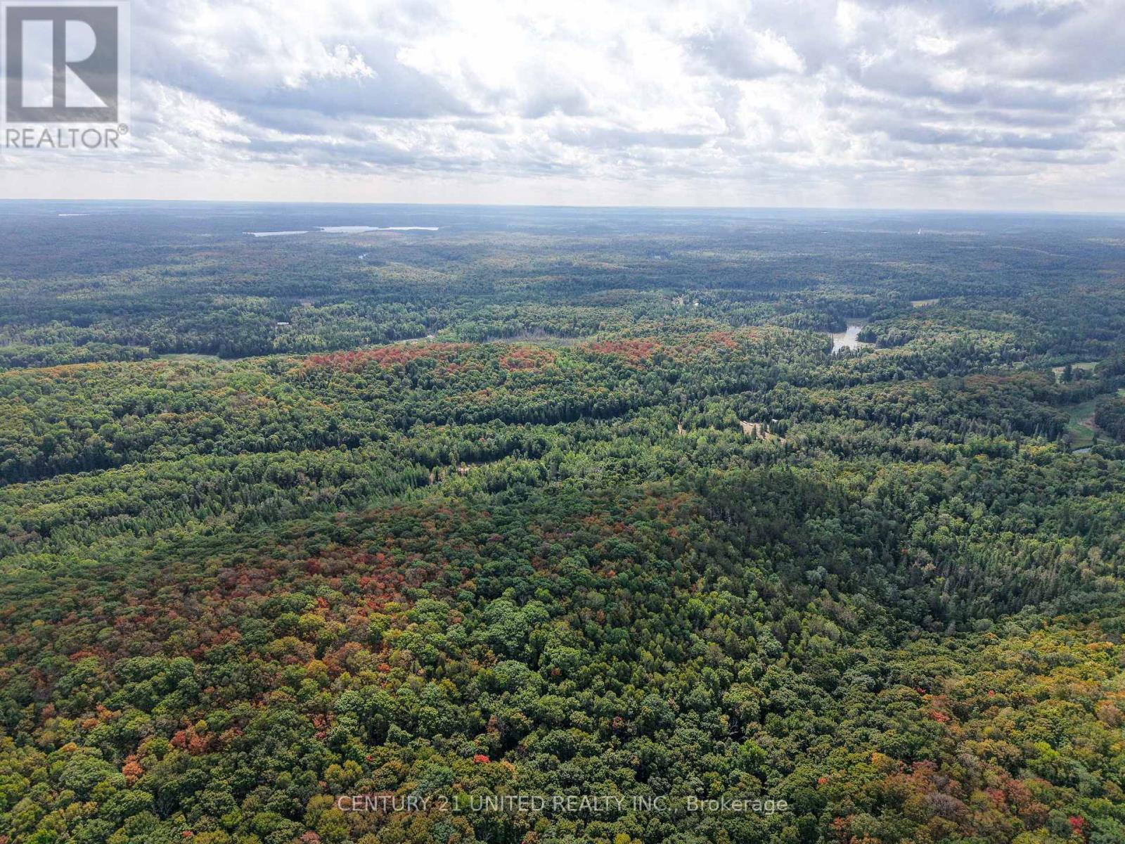 428 Jeff Road, North Kawartha, Ontario  K0L 1C0 - Photo 29 - X12833496