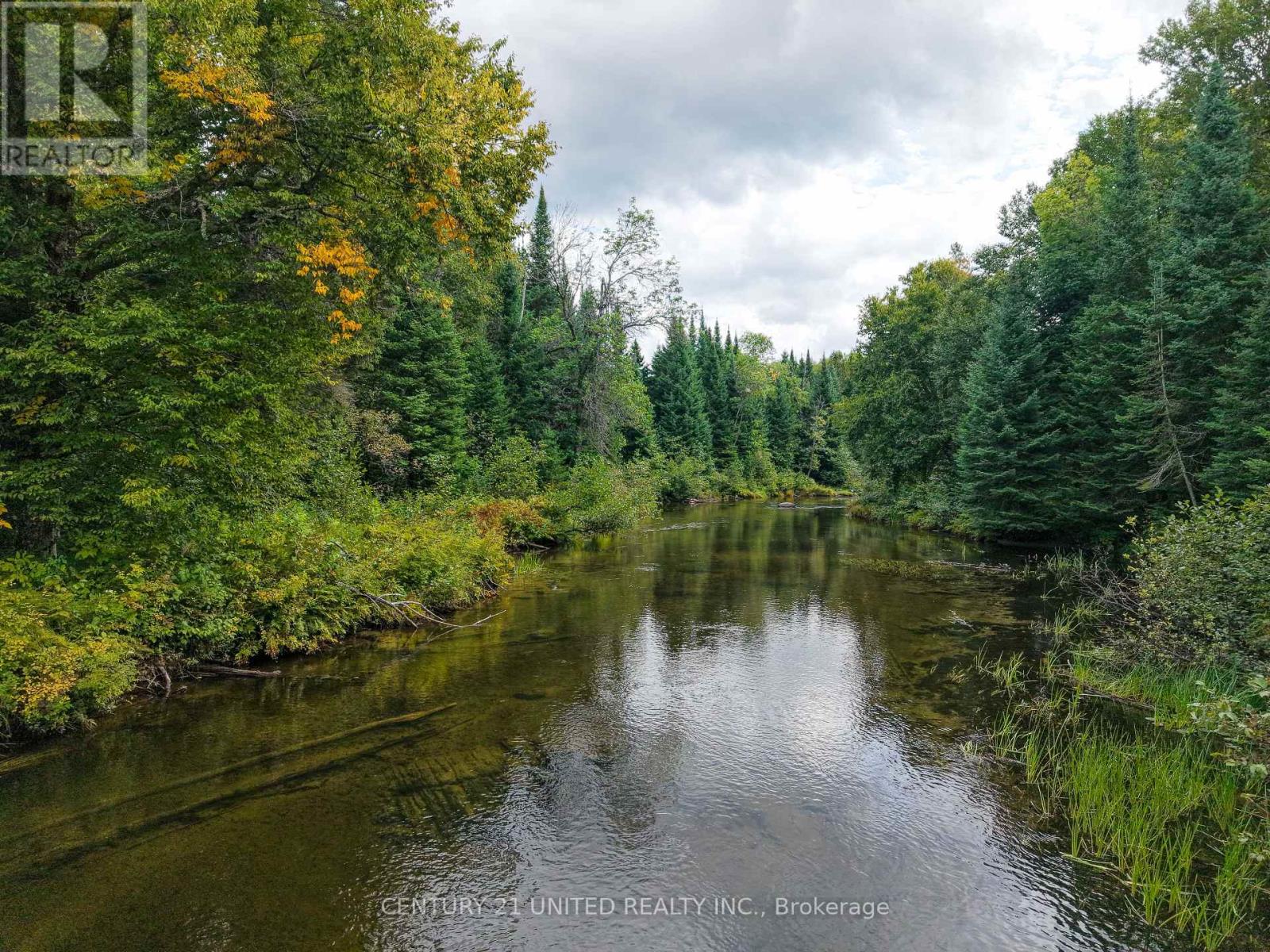428 Jeff Road, North Kawartha, Ontario  K0L 1C0 - Photo 7 - X12833496