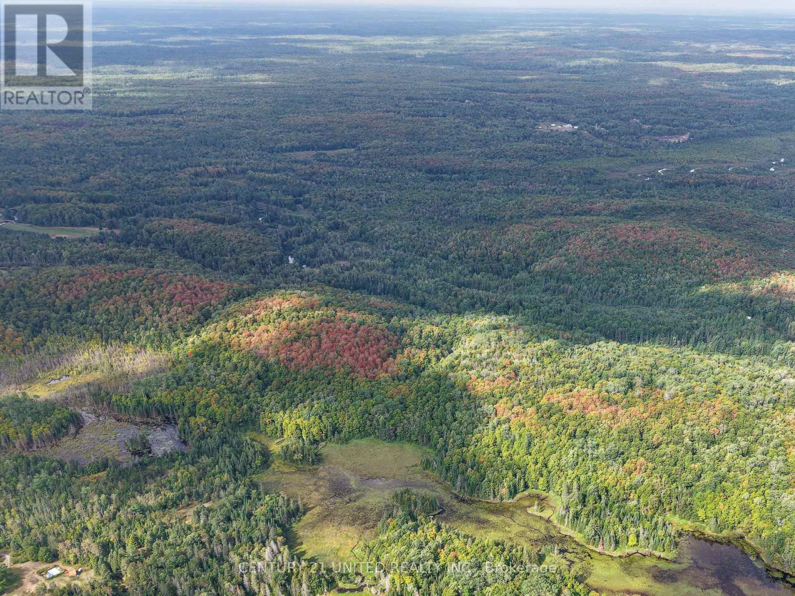 428 Jeff Road, North Kawartha, Ontario  K0L 1C0 - Photo 9 - X12833496