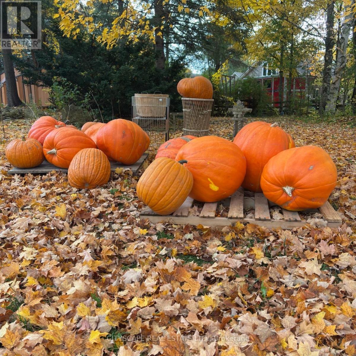 1a - 16730 Mississauga Road, Caledon, Ontario  L7K 1L9 - Photo 11 - W12480087