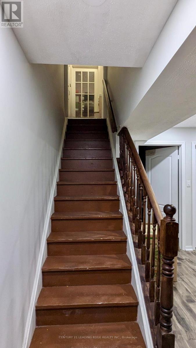 Bsmnt - 6 Honeybee Drive, Brampton, Ontario  L6R 3C6 - Photo 2 - W12833476