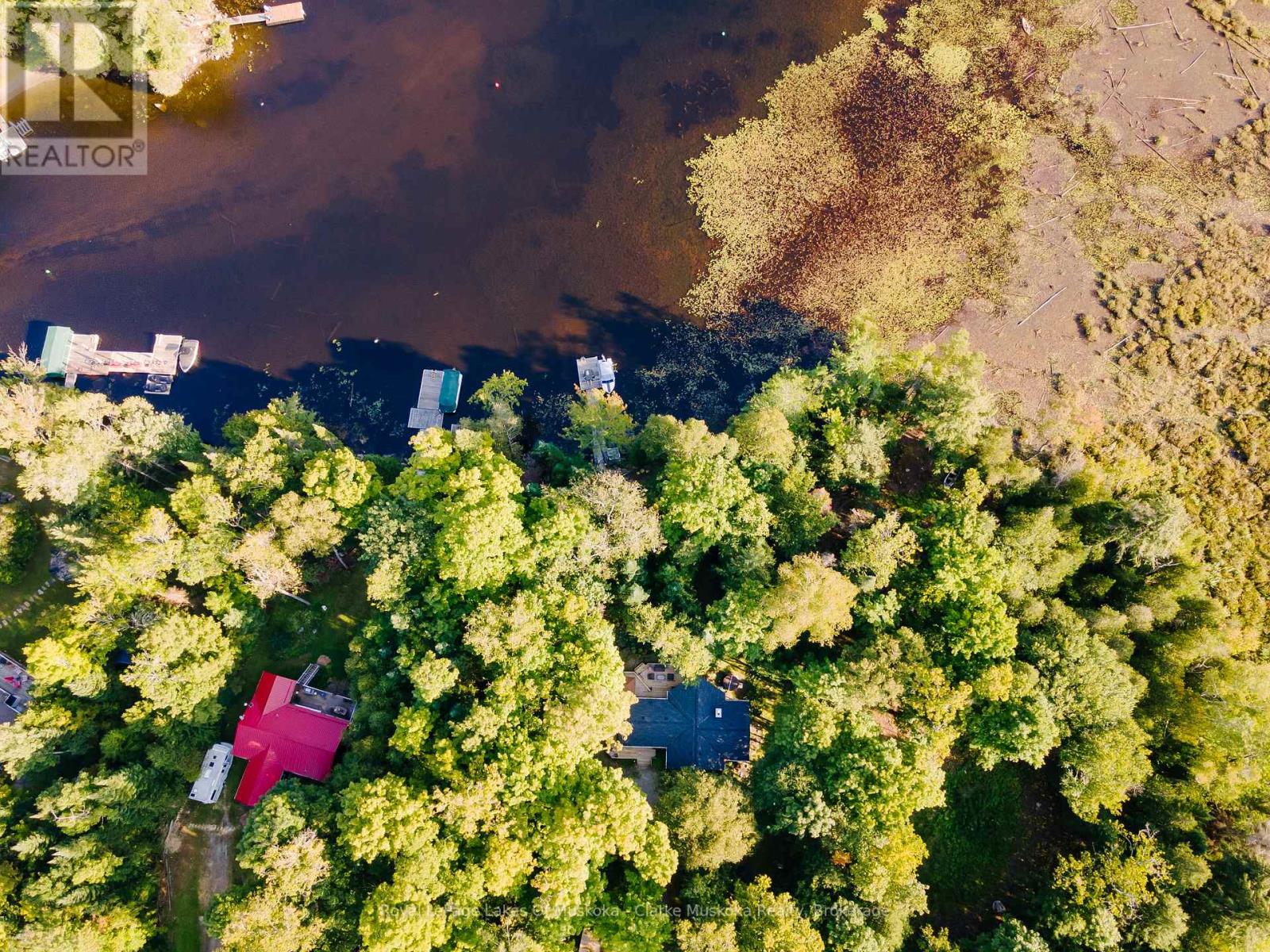 1157 Between Lakes Trail, Minden Hills, Ontario K0M 1J1 - Photo 13 - X12833578