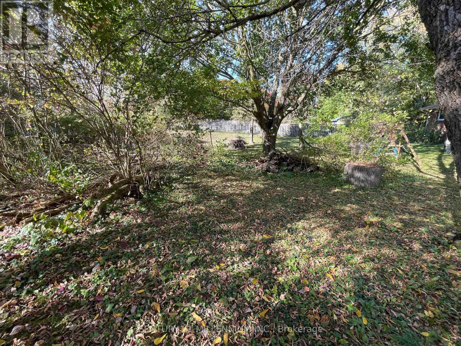 Plan 4a Blk 3 Lot 10 Mill Street, Amaranth, Ontario L9W 3Z3 - Photo 9 - X12470545