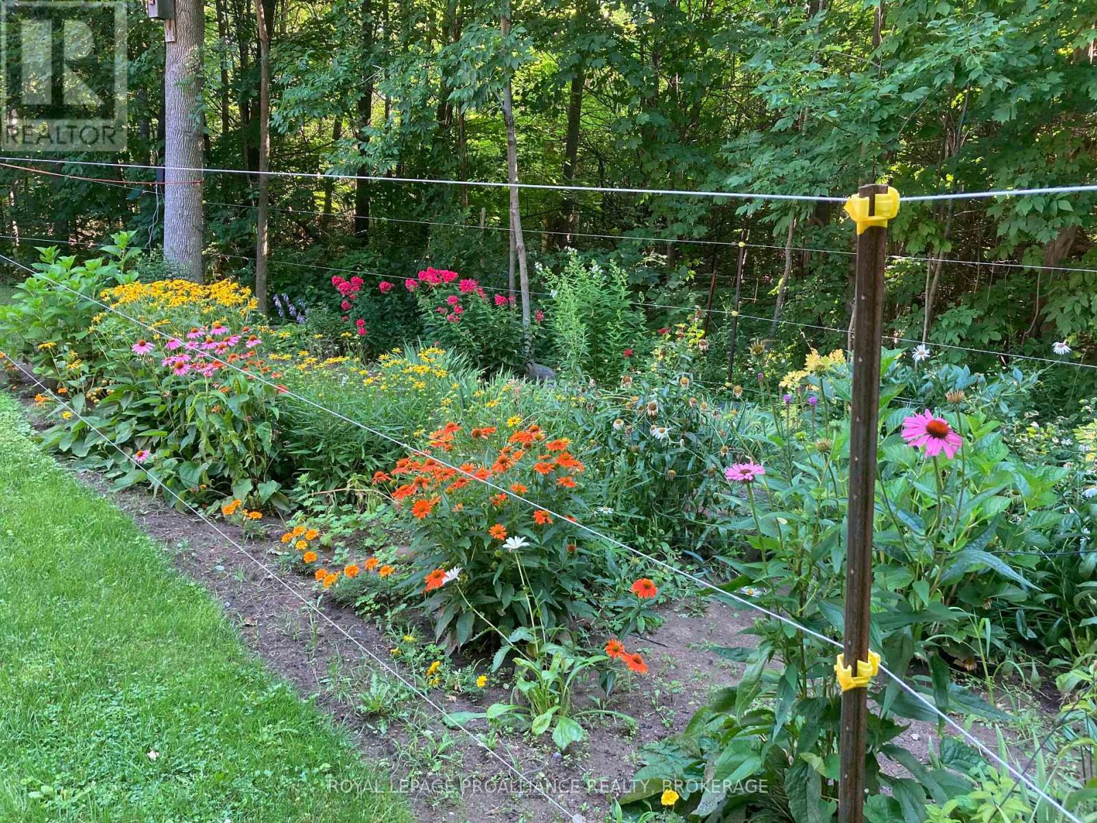 9889 Perth Road, Rideau Lakes, Ontario  K0G 1X0 - Photo 48 - X12833734