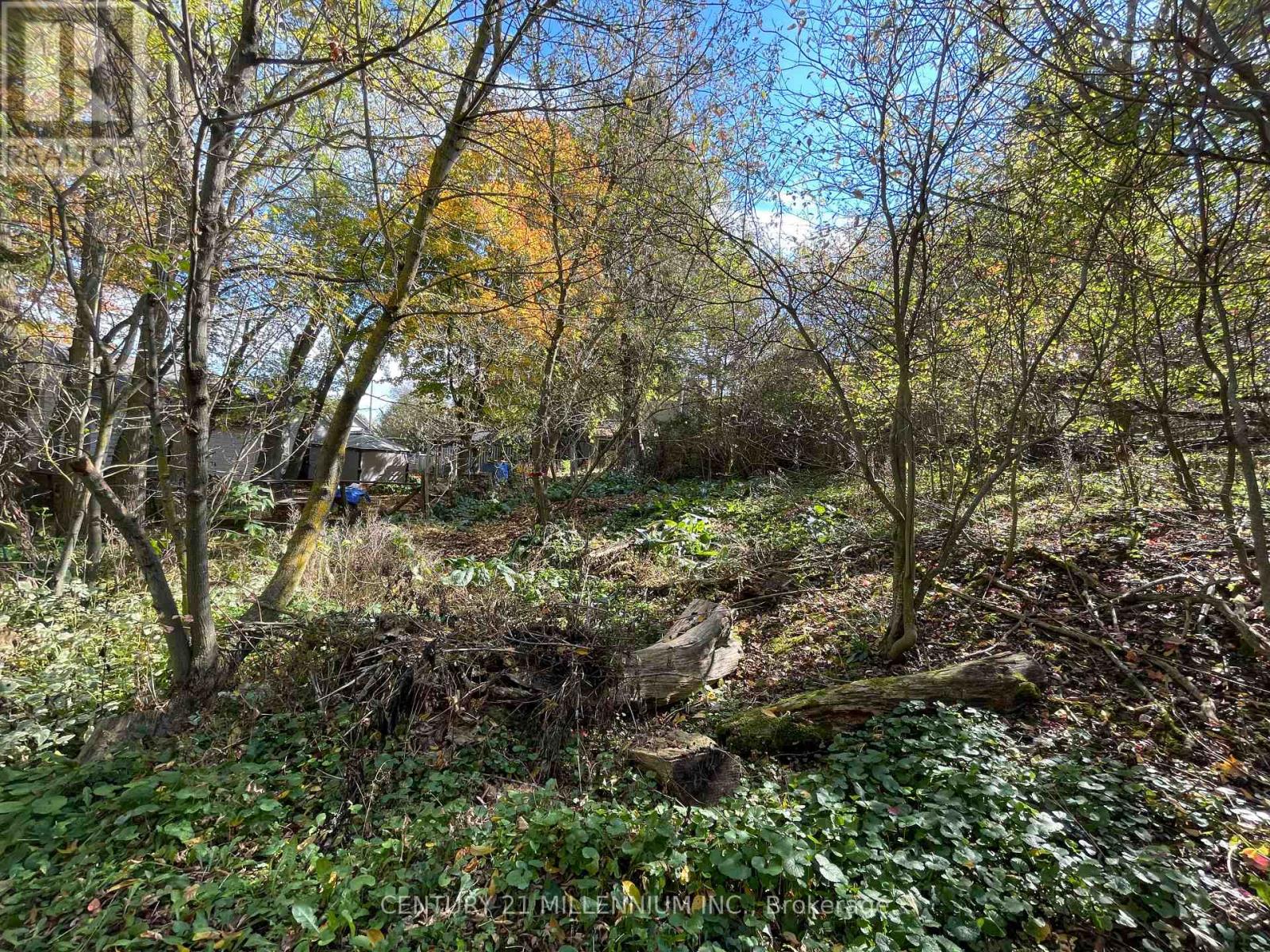 Plan 4a Blk 3 Lot 10 Mill Street, Amaranth, Ontario L9W 3Z3 - Photo 7 - X12470545