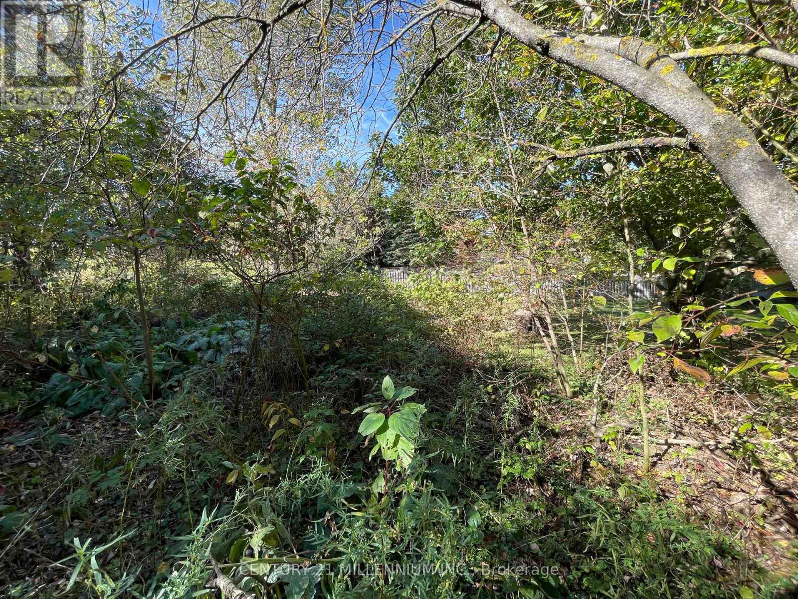 Plan 4a Blk 3 Lot 10 Mill Street, Amaranth, Ontario L9W 3Z3 - Photo 8 - X12470545