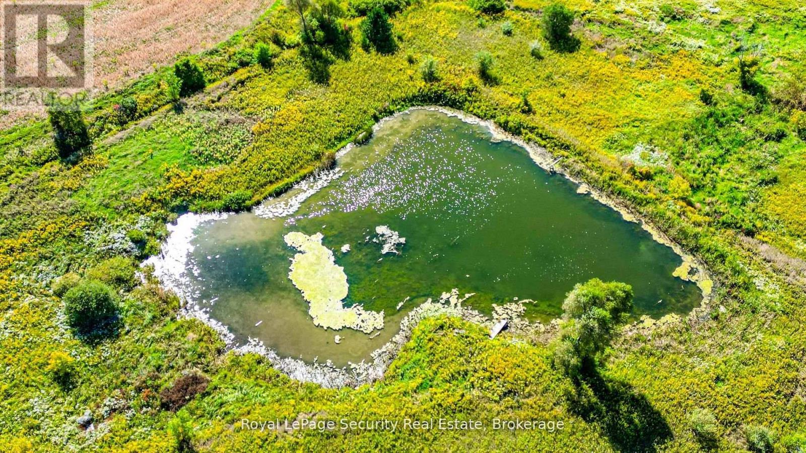 3280 19th Side Road, King, Ontario  L0G 1W0 - Photo 4 - N12833778