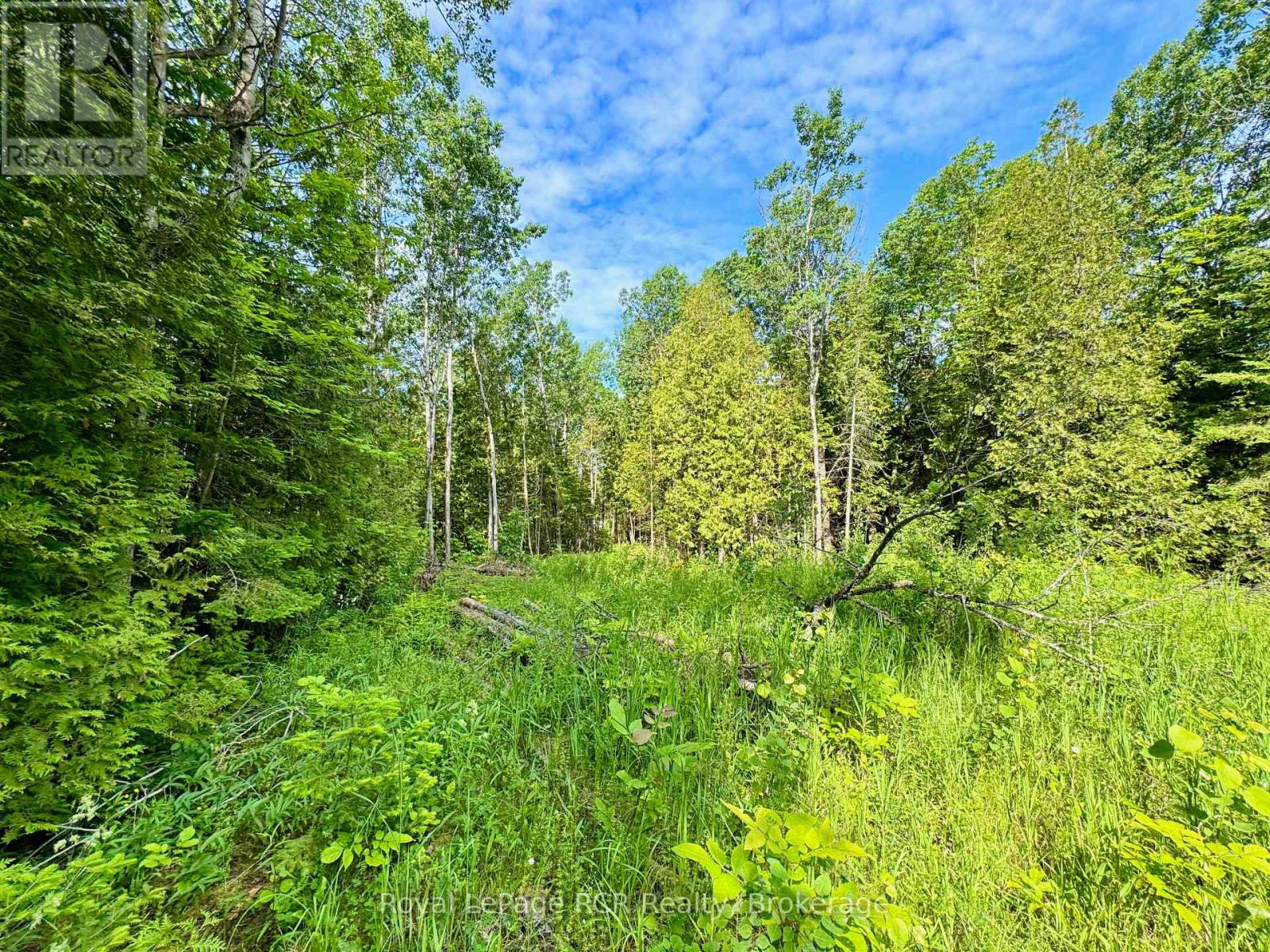 16 Morning Hill Road, South Bruce Peninsula, Ontario N0H 2T0 - Photo 10 - X12833836