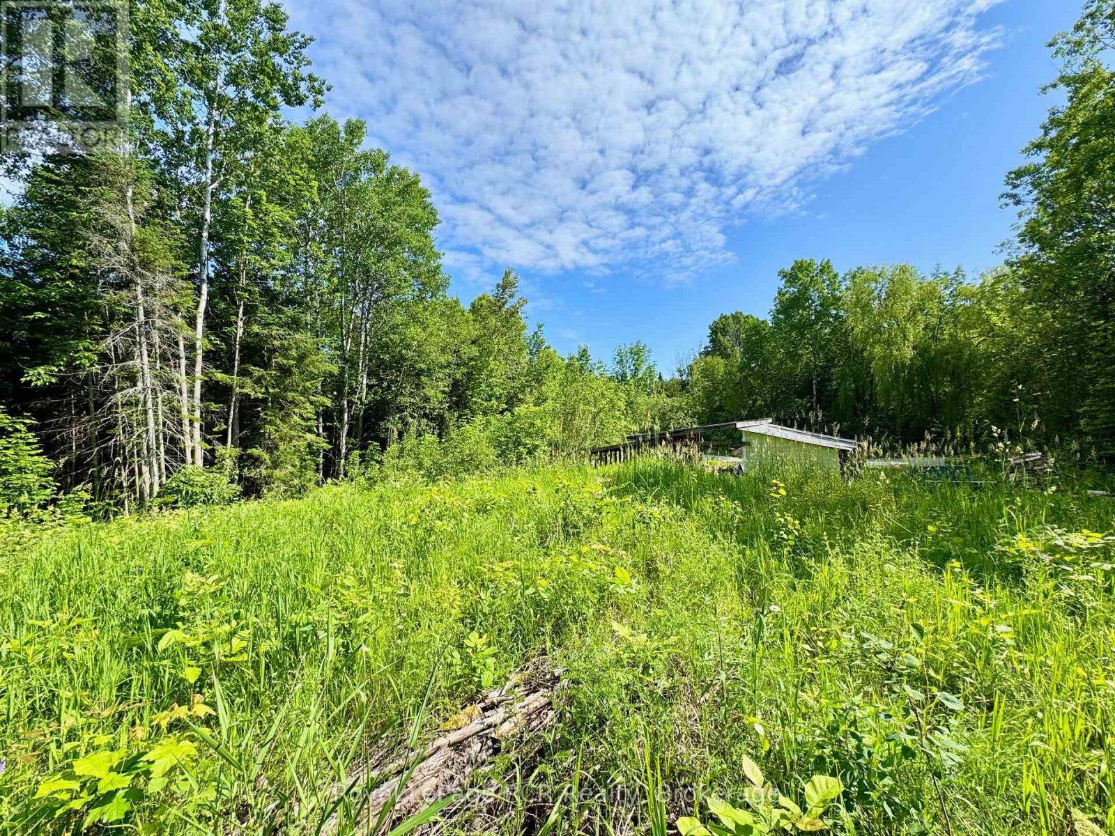 16 Morning Hill Road, South Bruce Peninsula, Ontario N0H 2T0 - Photo 11 - X12833836