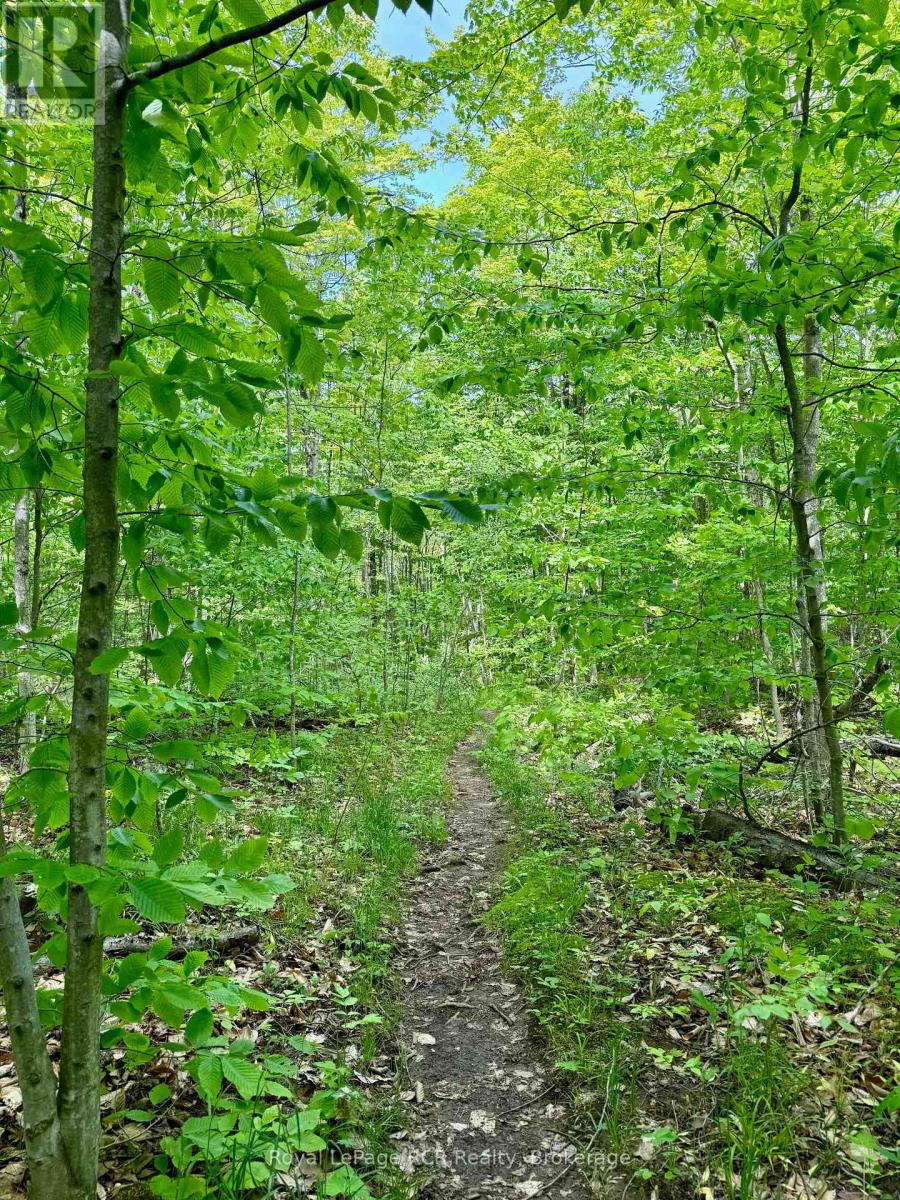 16 Morning Hill Road, South Bruce Peninsula, Ontario N0H 2T0 - Photo 22 - X12833836