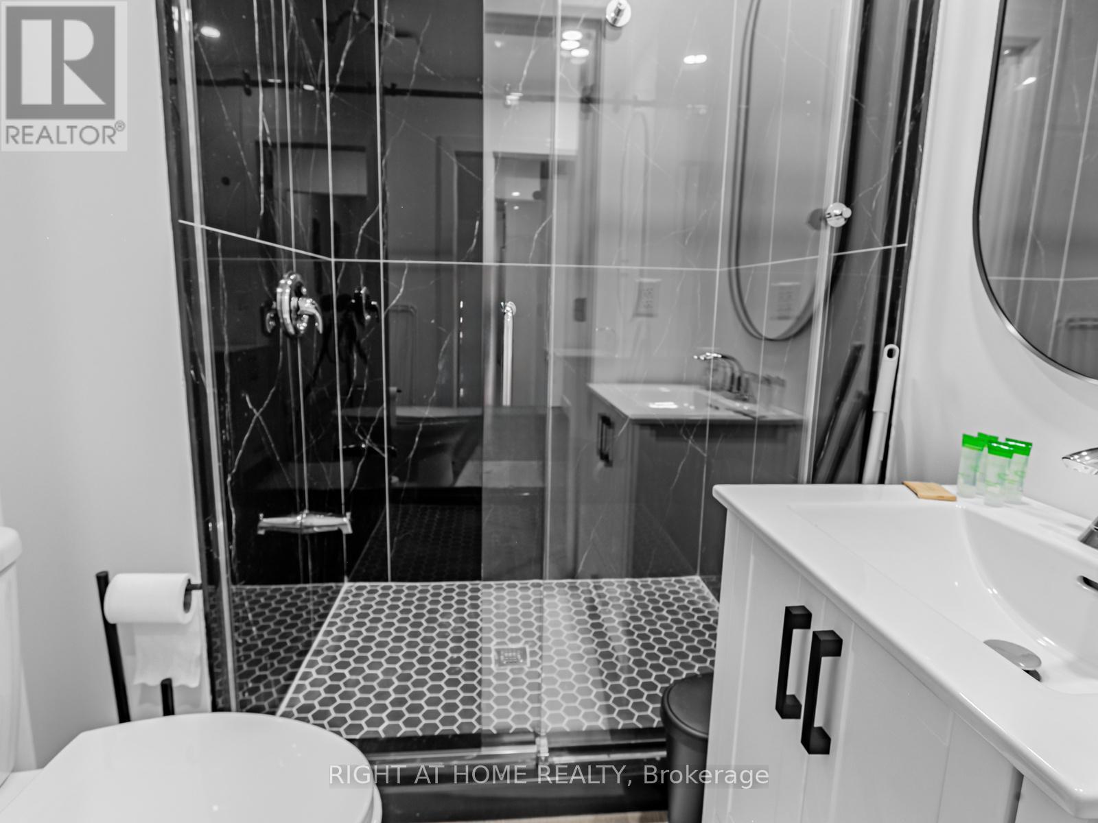 Lower - 36 Windermere Avenue, Toronto, Ontario  M6S 3J2 - Photo 14 - W12833706