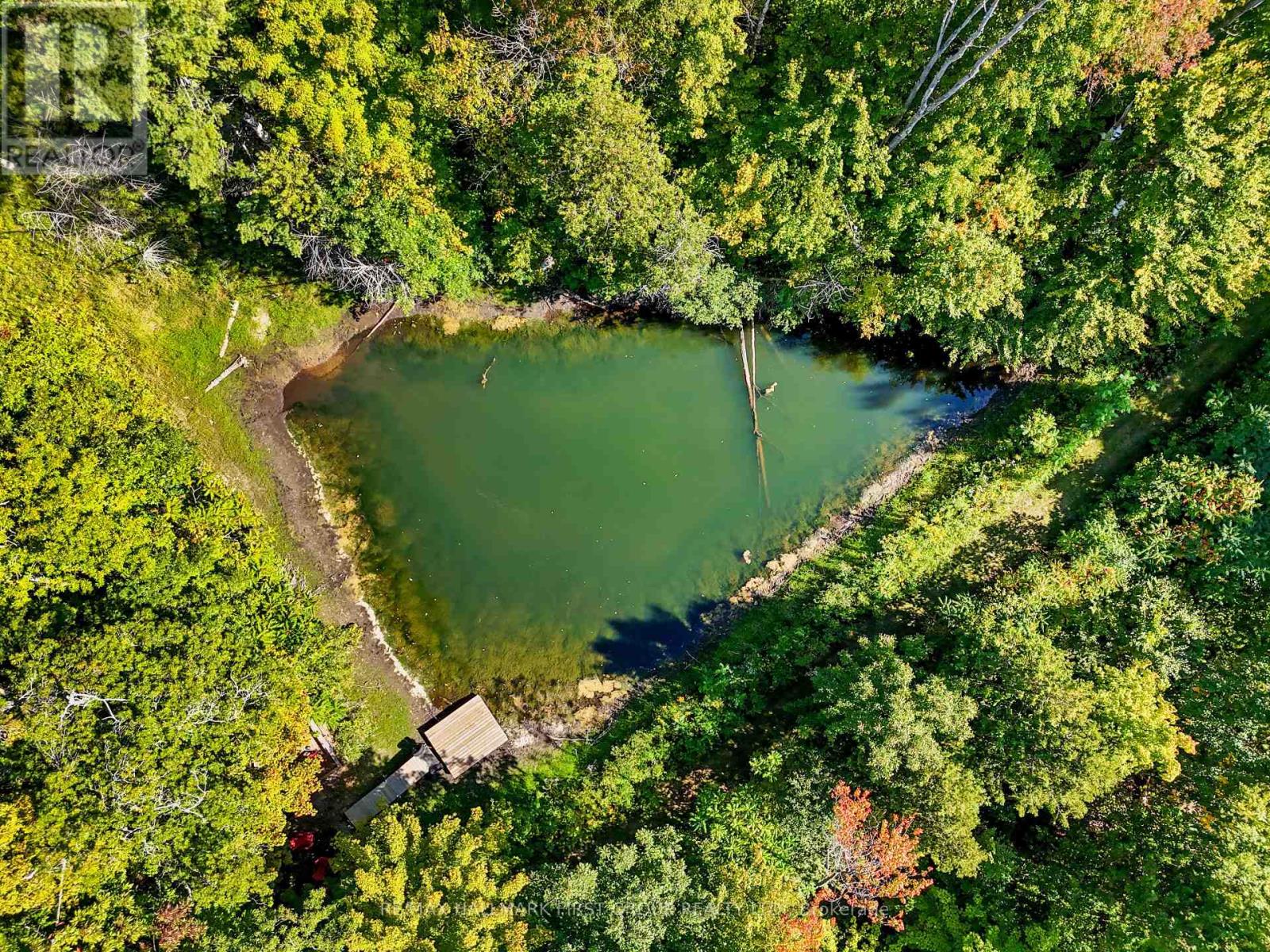 234 Boeve Lane, Alnwick/haldimand, Ontario  K0K 2G0 - Photo 46 - X12833566