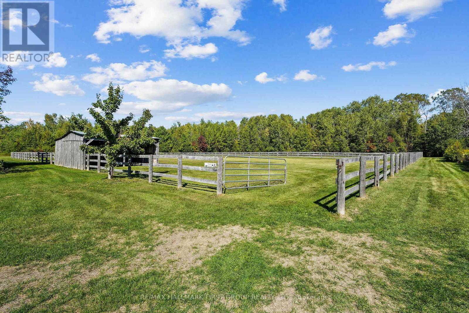 234 Boeve Lane, Alnwick/haldimand, Ontario  K0K 2G0 - Photo 47 - X12833566