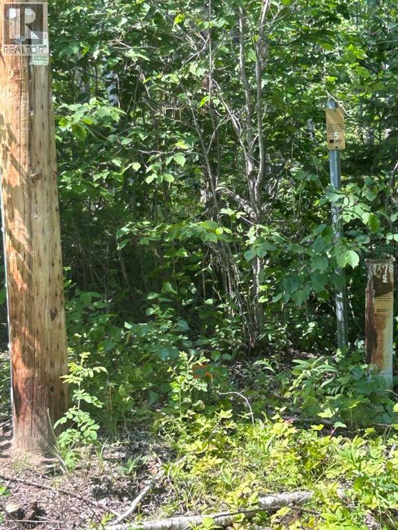 14 Rollingview Estates, Rural Parkland County, Alberta  T7Z 1X5 - Photo 18 - A2279921