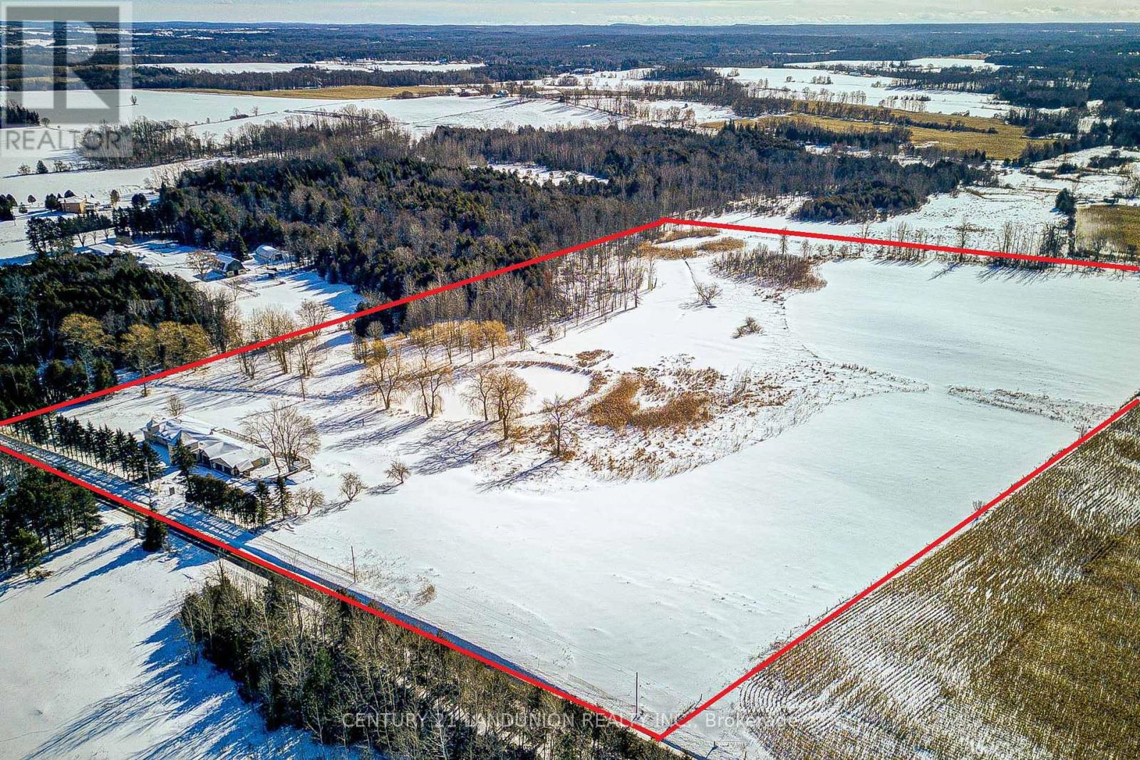 2391 Doane Road, East Gwillimbury, Ontario  L0G 1R0 - Photo 6 - N12695384