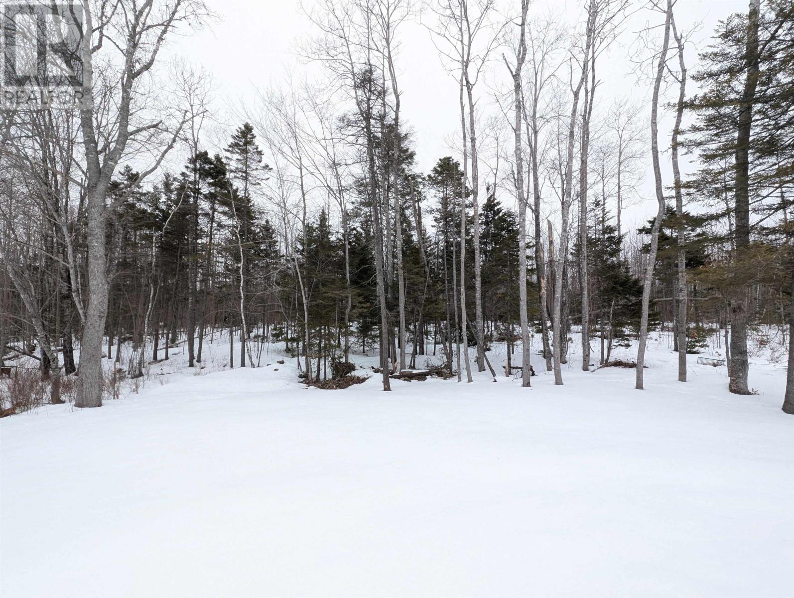 128 & 130 Renfrew Road, Enfield, Nova Scotia  B2T 1M6 - Photo 32 - 202603313