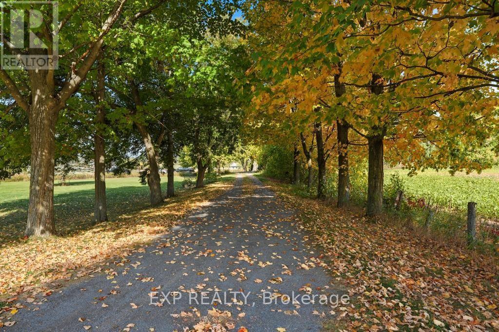 2830 Concession 4 Road, Alfred And Plantagenet, Ontario  K0B 1A0 - Photo 31 - X12833936