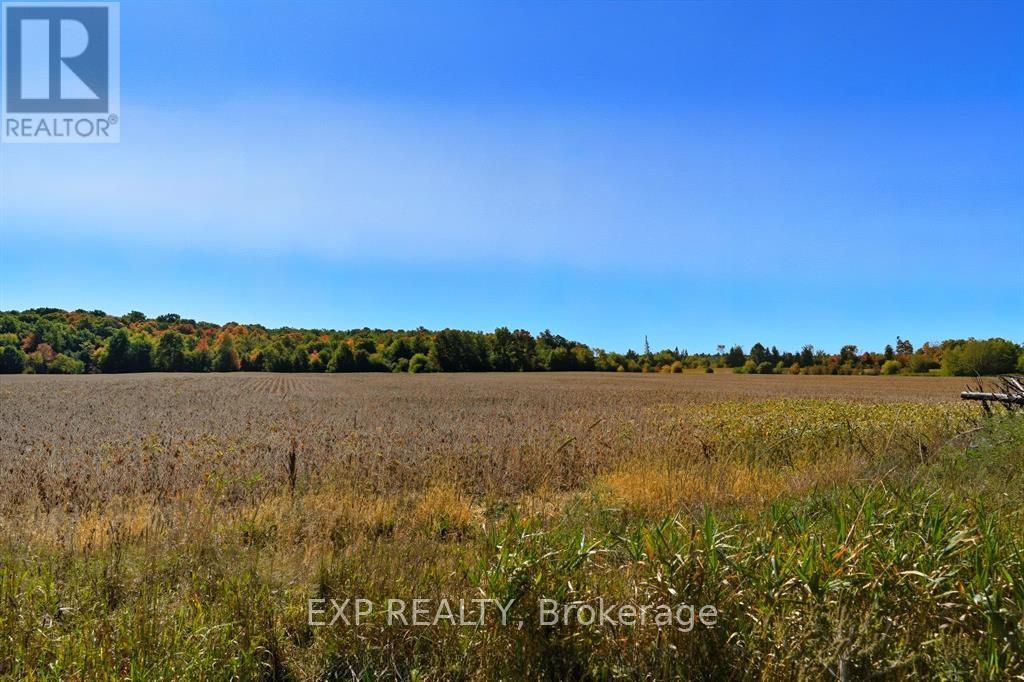 2830 Concession 4 Road, Alfred And Plantagenet, Ontario  K0B 1A0 - Photo 32 - X12833936