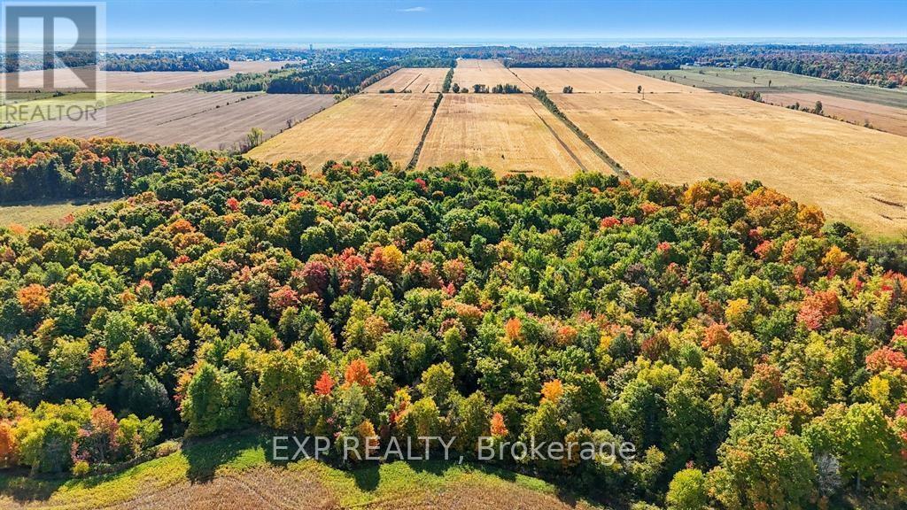 2830 Concession 4 Road, Alfred And Plantagenet, Ontario  K0B 1A0 - Photo 37 - X12833936