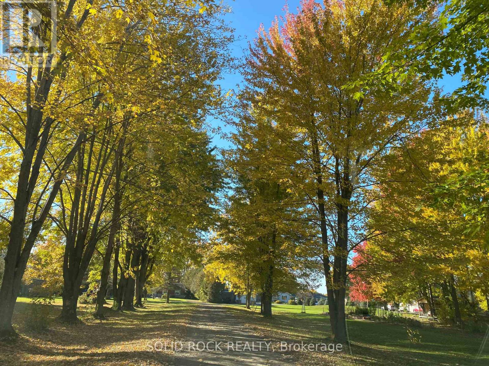 3710 River Road, North Grenville, Ontario  K4M 1B4 - Photo 43 - X12834072