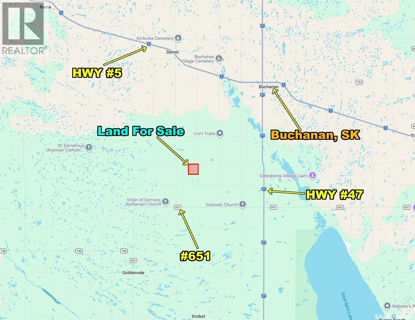 Buchanan Quarter R.m. #274, Good Lake Rm No. 274, Saskatchewan S0A 0J0 - Photo 3 - SK029149