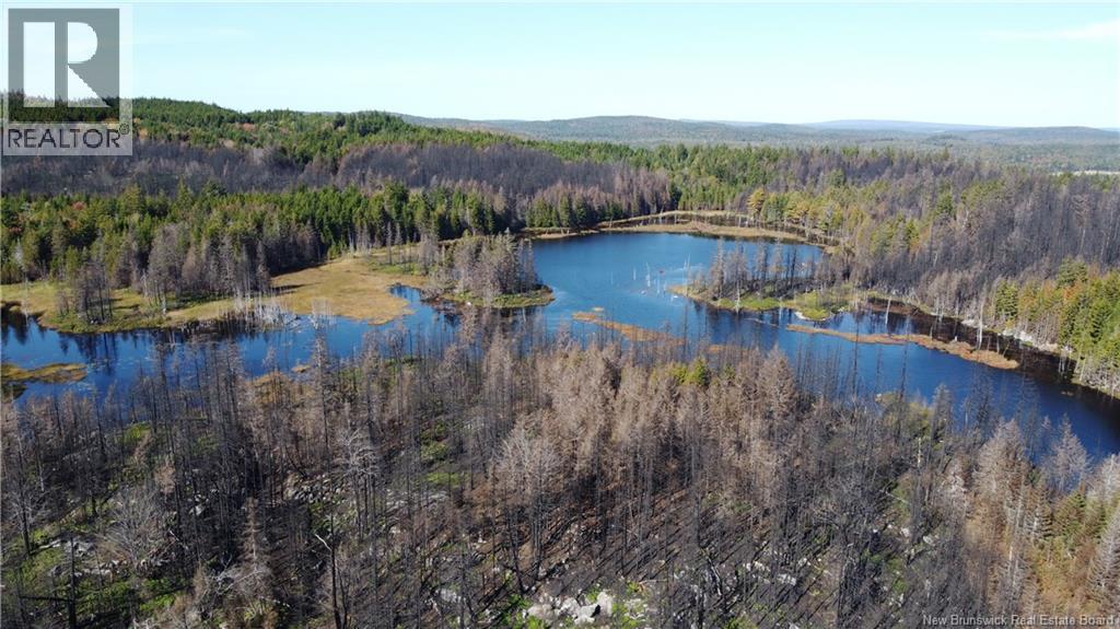 Lot 3 And 4 Route 127, Bocabec, New Brunswick  E5B 3H4 - Photo 15 - NB134264