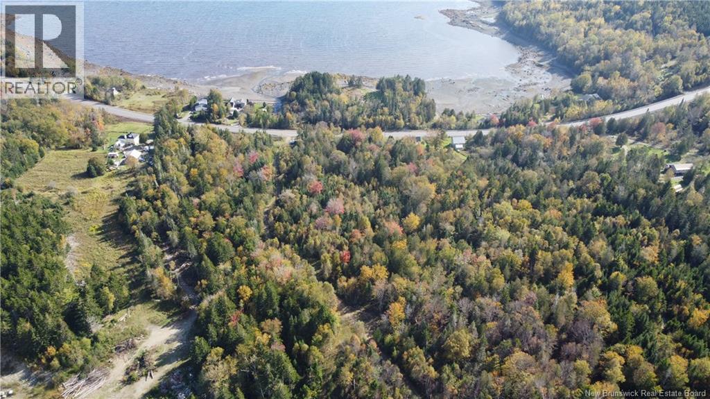 Lot 3 And 4 Route 127, Bocabec, New Brunswick  E5B 3H4 - Photo 4 - NB134264