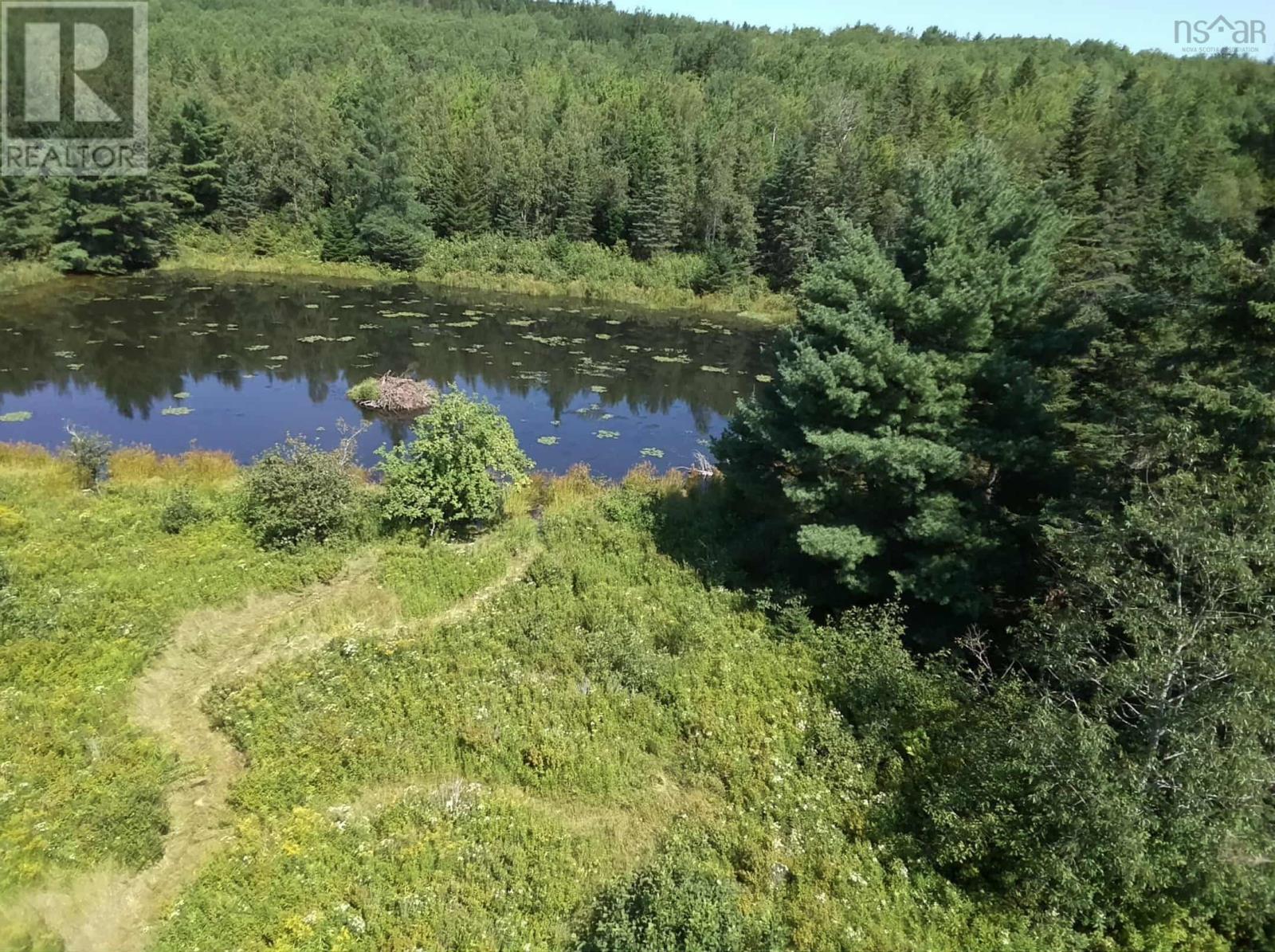 1329 Highway 321, River Philip, Nova Scotia  B0M 1V0 - Photo 36 - 202600163