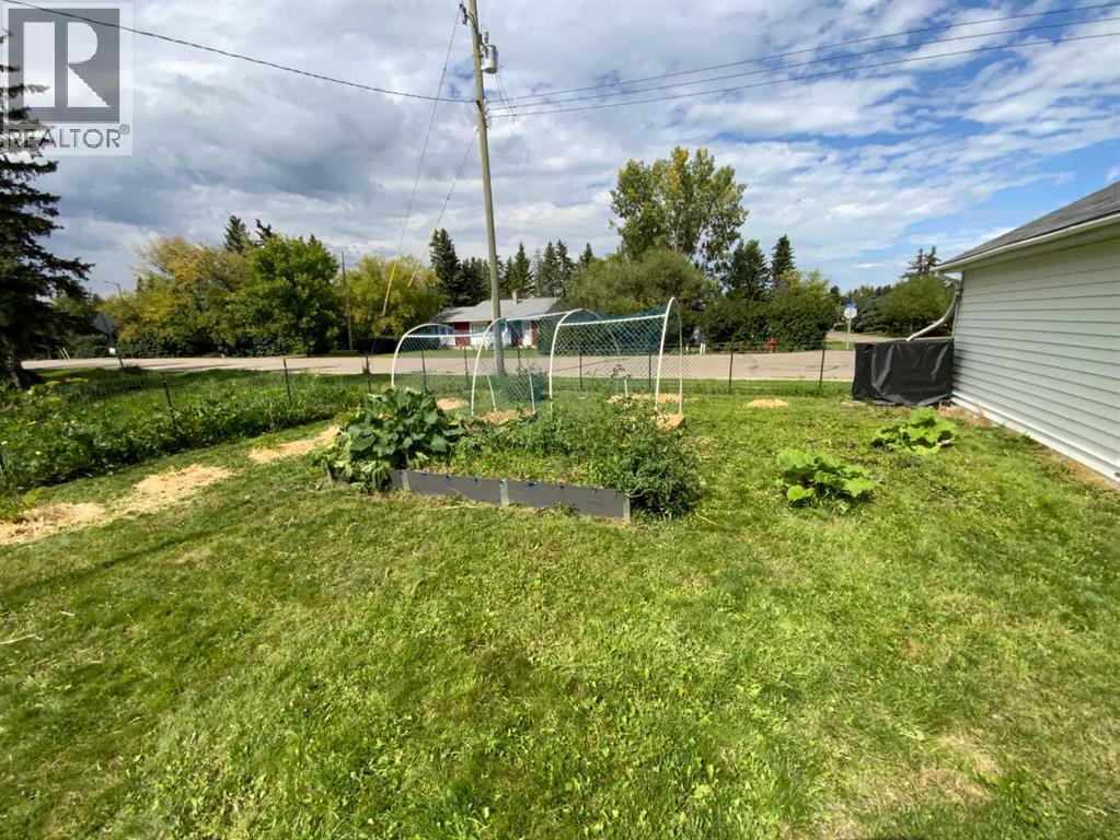 23 Mobile Drive Ne, Three Hills, Alberta  T0M 2A0 - Photo 27 - A2283832