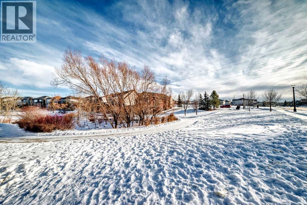 397 Rainbow Falls Drive, Chestermere, Alberta  T1X 0L1 - Photo 34 - A2278613