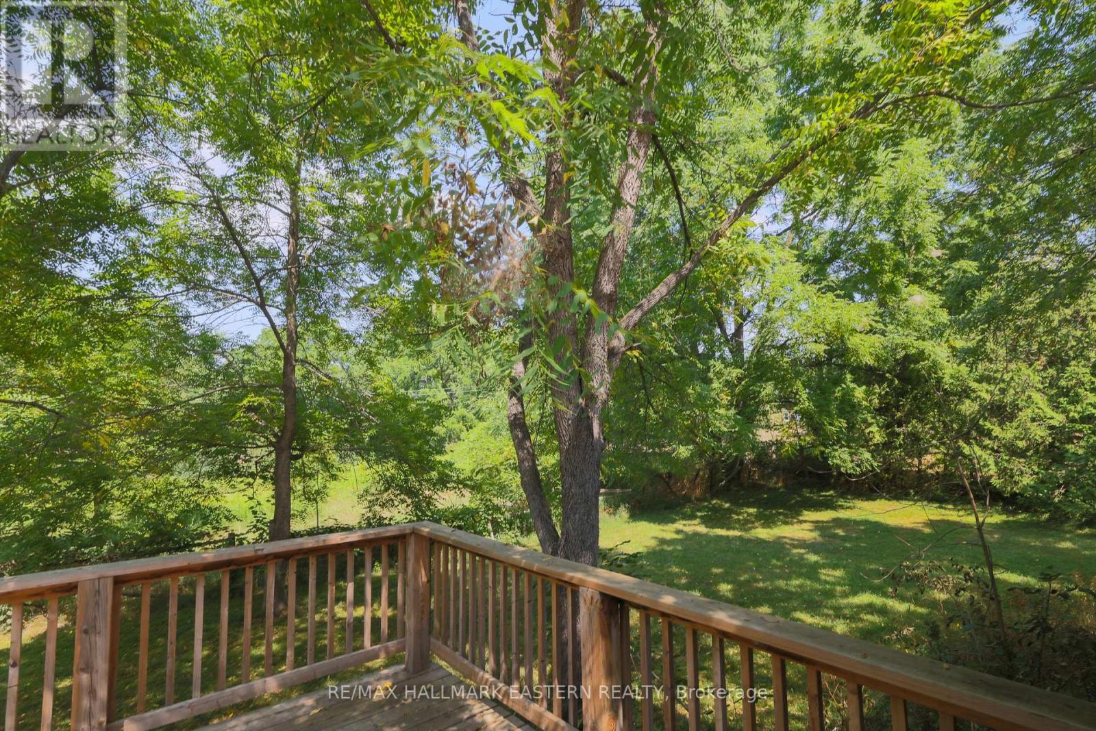 4372 County Road 29, Douro-Dummer, Ontario  K0L 2H0 - Photo 28 - X12546334