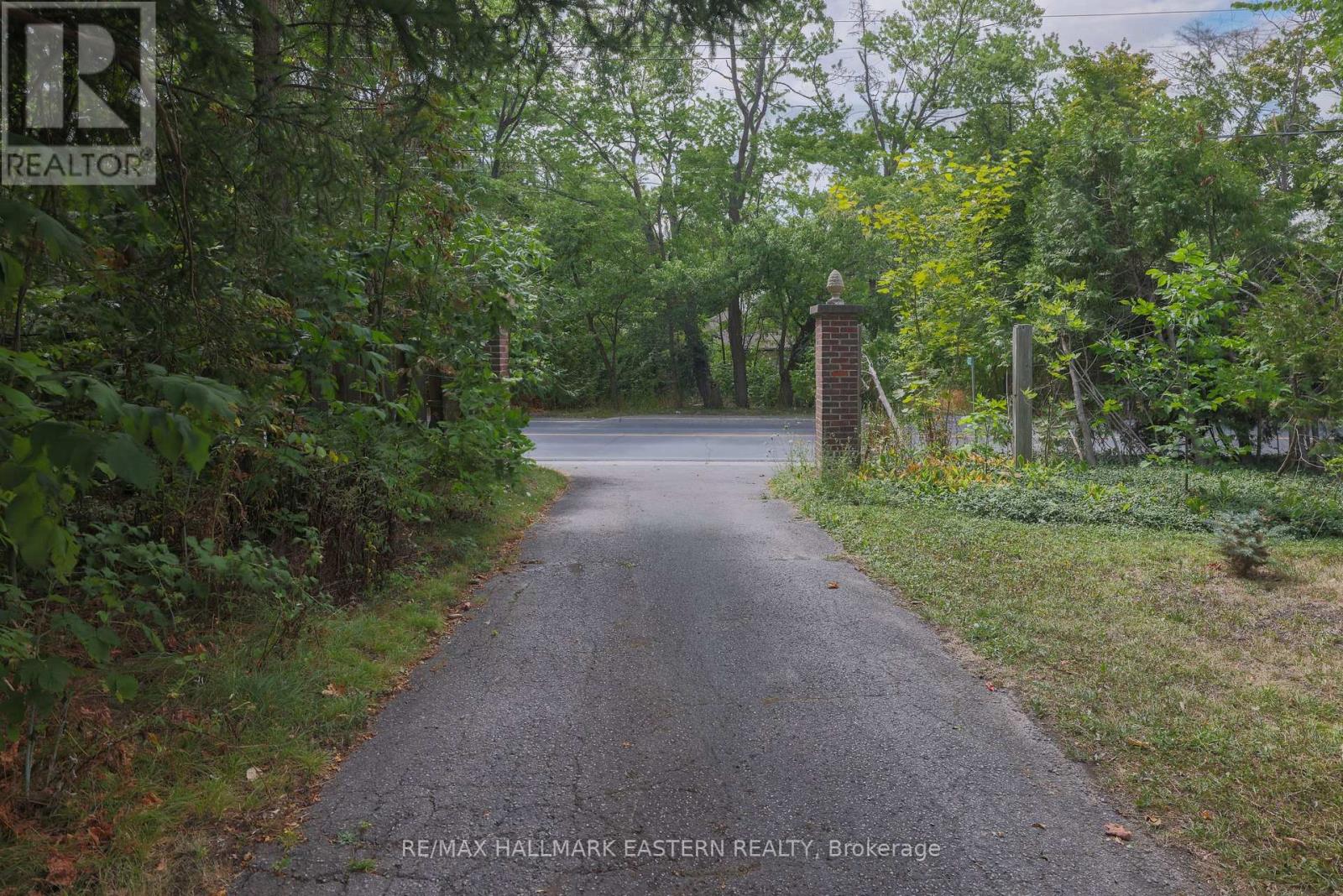 4372 County Road 29, Douro-Dummer, Ontario  K0L 2H0 - Photo 39 - X12546334