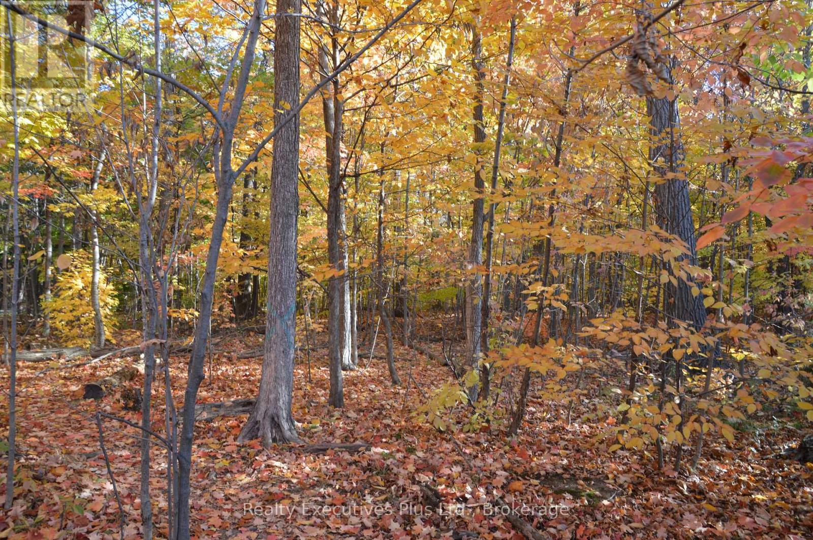 42 - 4200 Kilmer Drive W, Burlington, Ontario  L7M 4Y3 - Photo 47 - W12493672