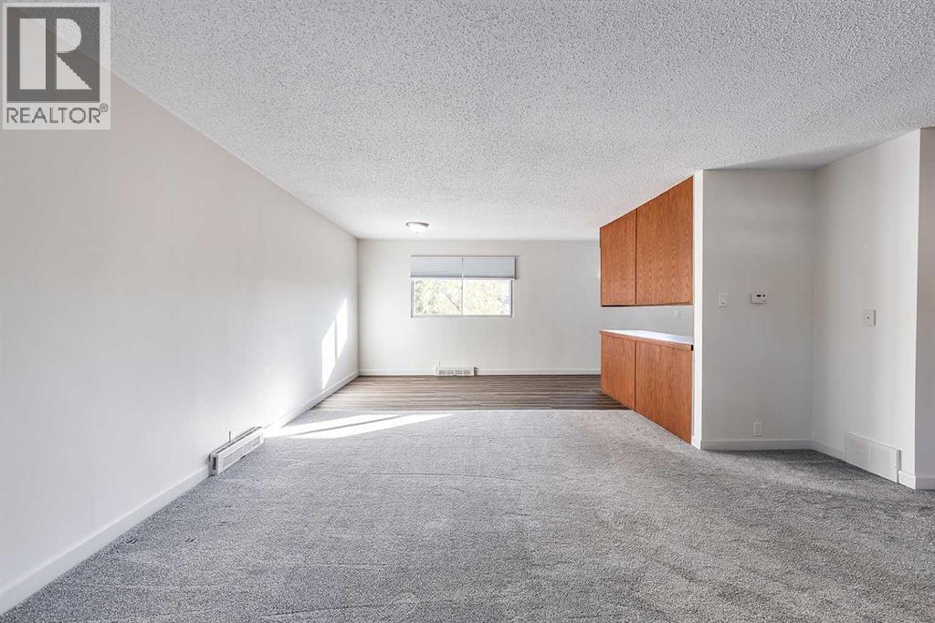 241 11 Street Sw, Medicine Hat, Alberta  T1A 4S5 - Photo 9 - A2264173