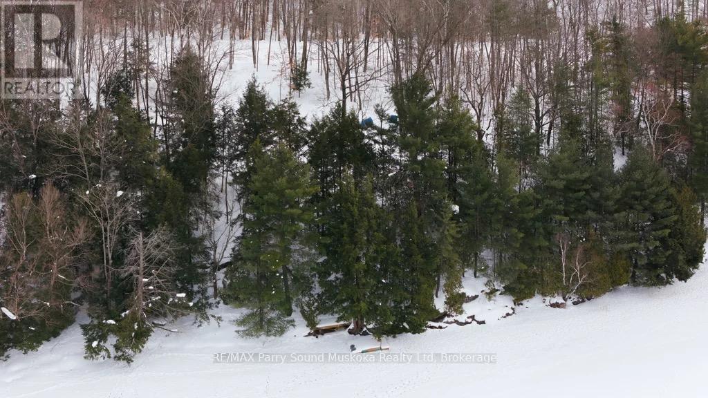 Lot 2 Louisa Street, Parry Sound, Ontario  P2A 2V3 - Photo 9 - X12813098