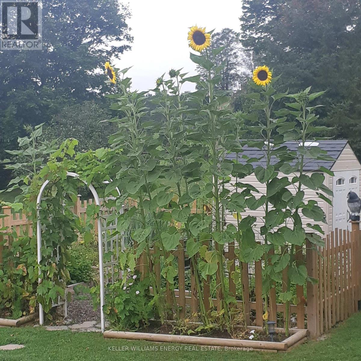 14 Christie Crescent, Scugog, Ontario  L9L 1B5 - Photo 46 - E12797484