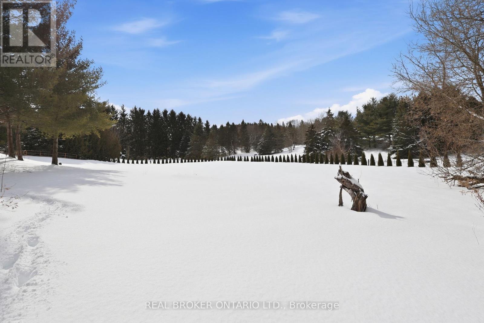 26 Orchard Court, East Gwillimbury, Ontario  L0G 1M0 - Photo 41 - N12827596