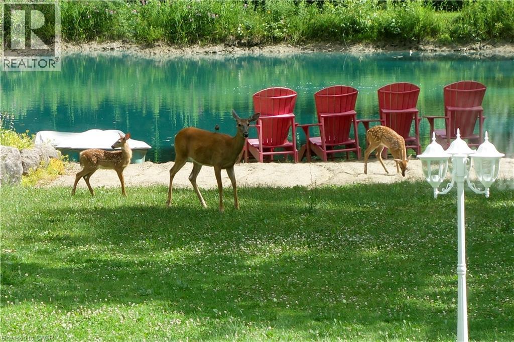 2698 Line 47 Line, Gads Hill, Ontario  N0K 1J0 - Photo 50 - 40800587