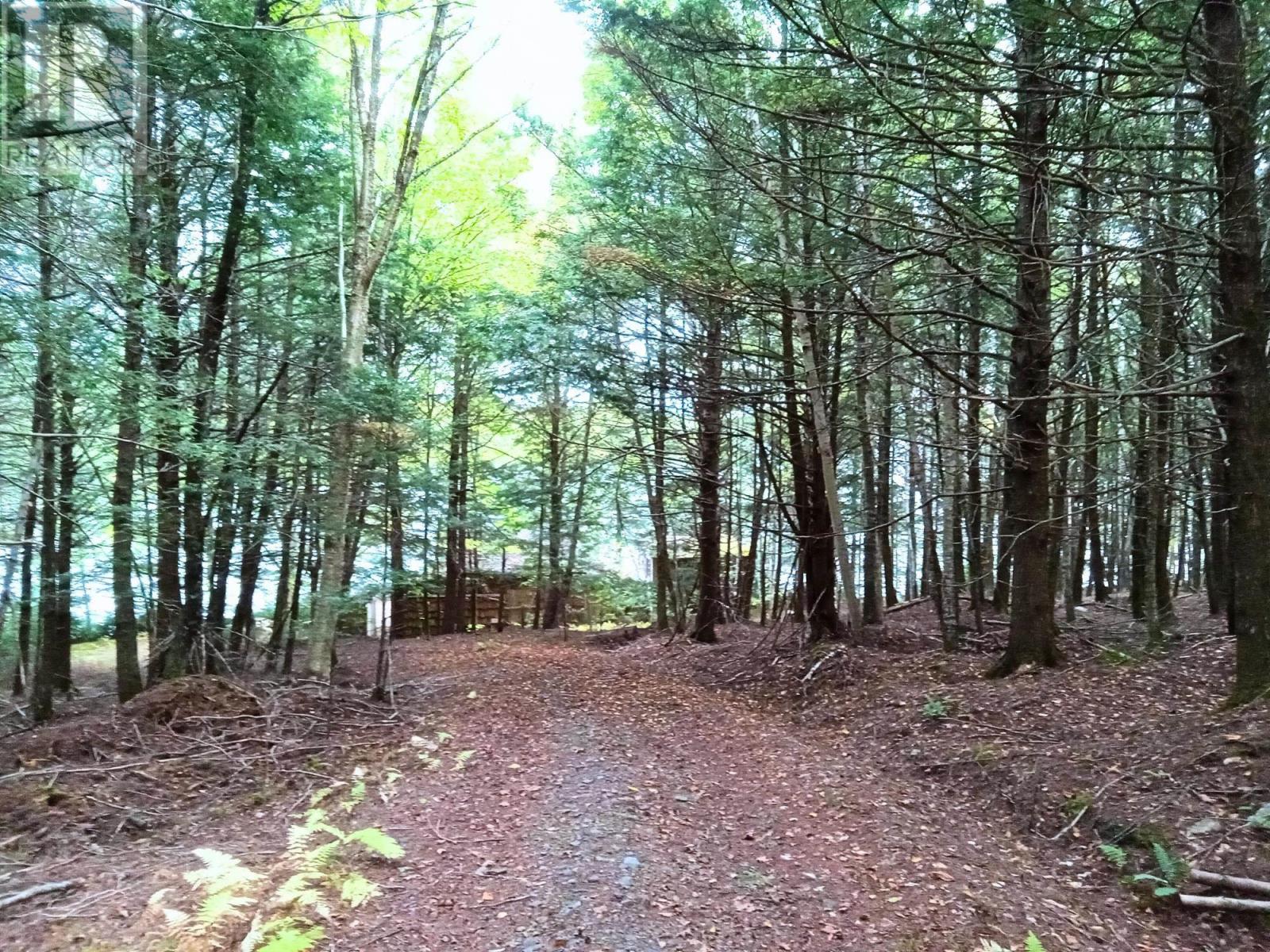 258 Moyle Mader Road, Maitland, Nova Scotia