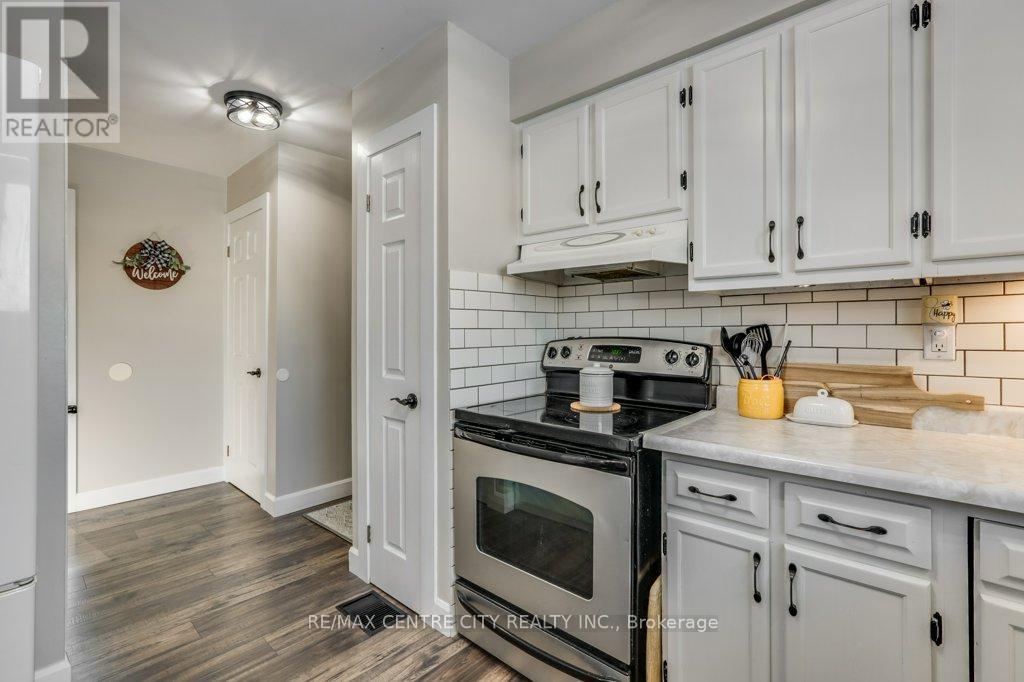 258 Mary Street, Dutton/dunwich, Ontario  N0L 1J0 - Photo 11 - X12834546