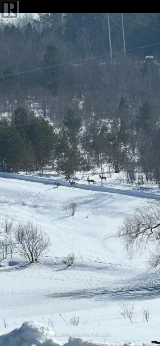 557440 4th S Concession, Meaford, Ontario  N4K 5N8 - Photo 4 - X12748684