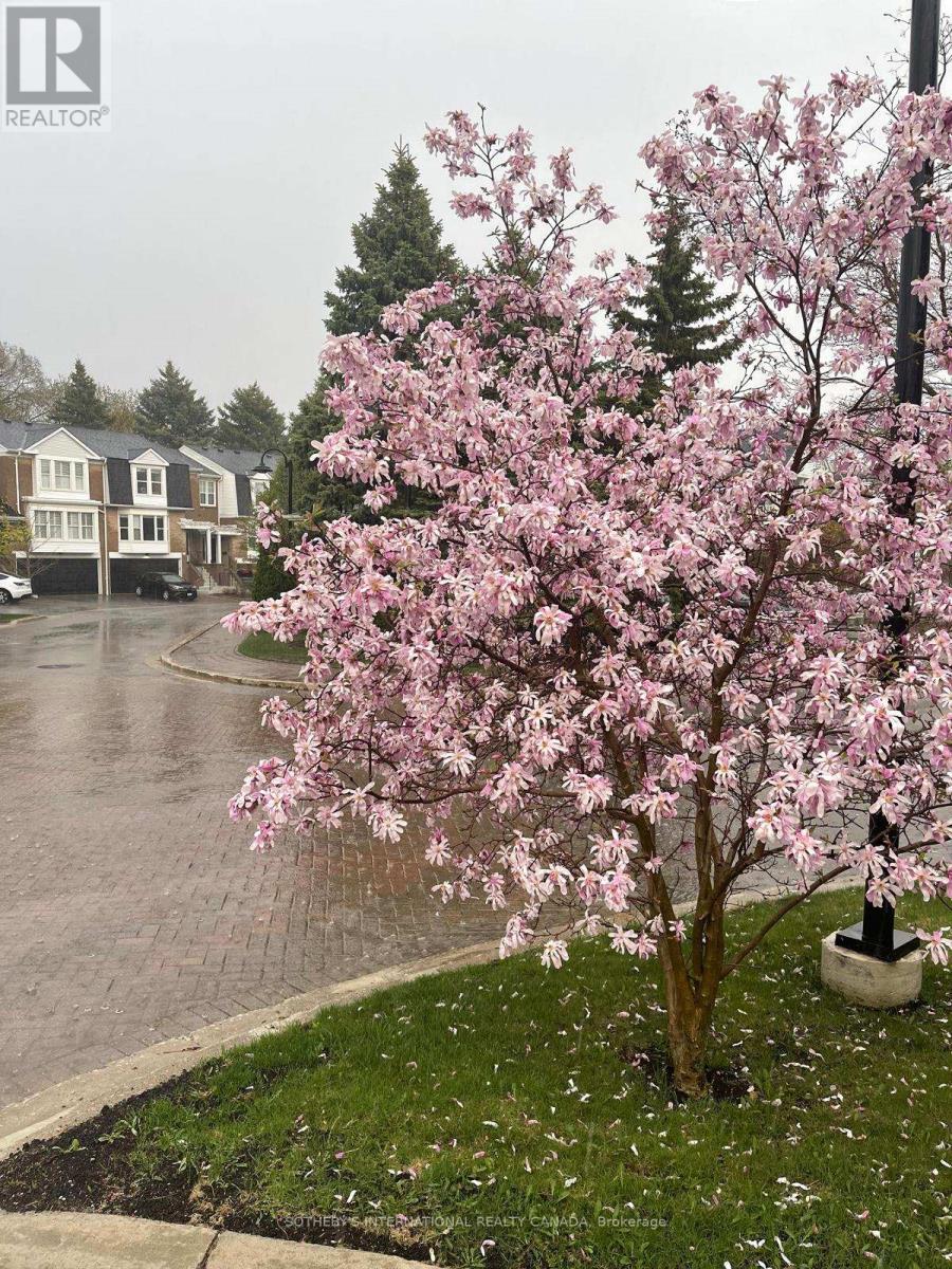 26 Tamarack Circle, Toronto, Ontario  M9P 3T9 - Photo 43 - W12834622