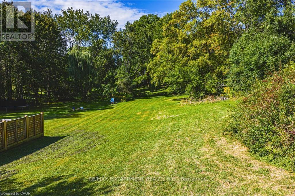 24 Rosebough Street, Hamilton, Ontario  L9H 5C5 - Photo 4 - X12834522