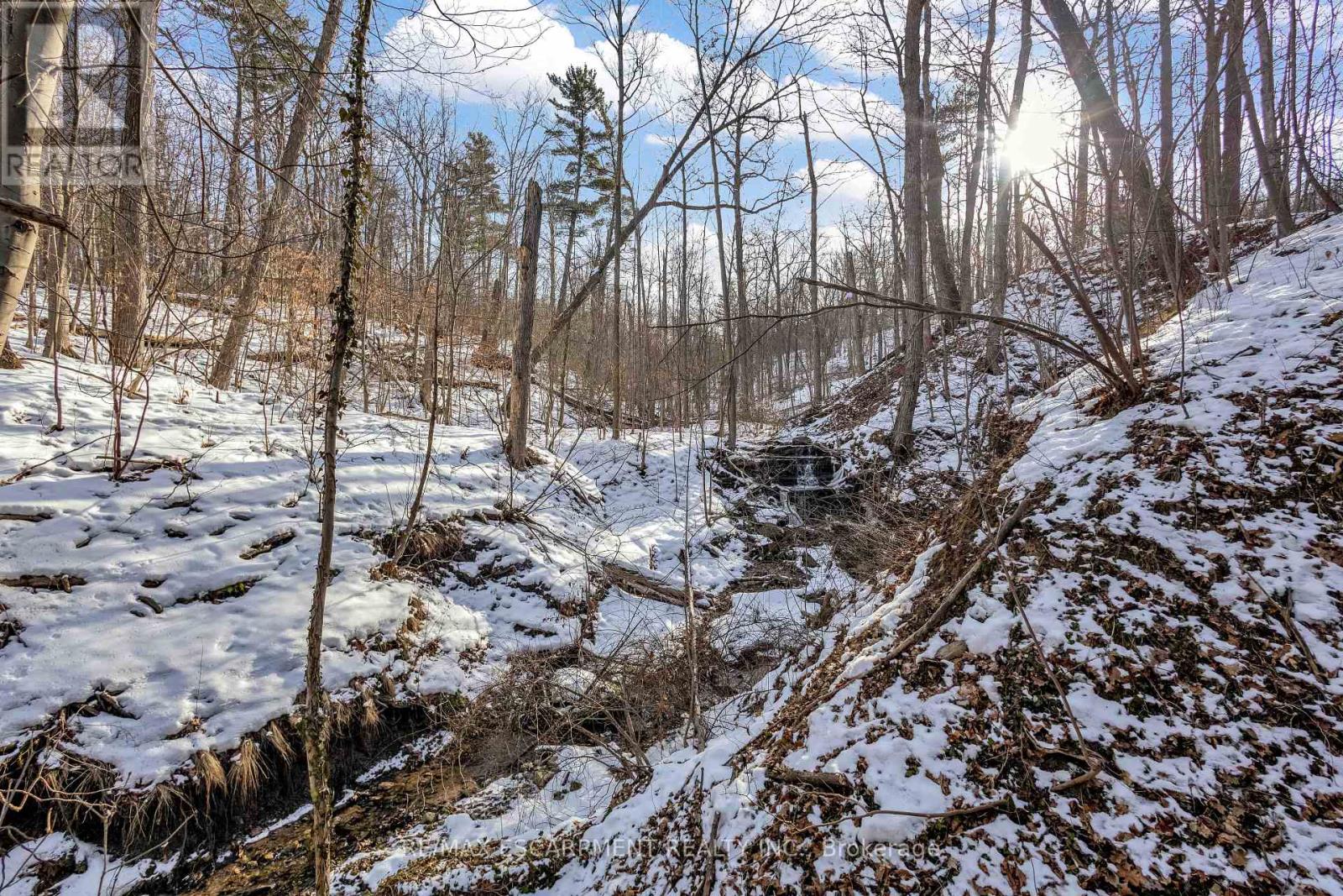 59 Park Road S, Grimsby, Ontario  L3M 4E7 - Photo 39 - X12834532