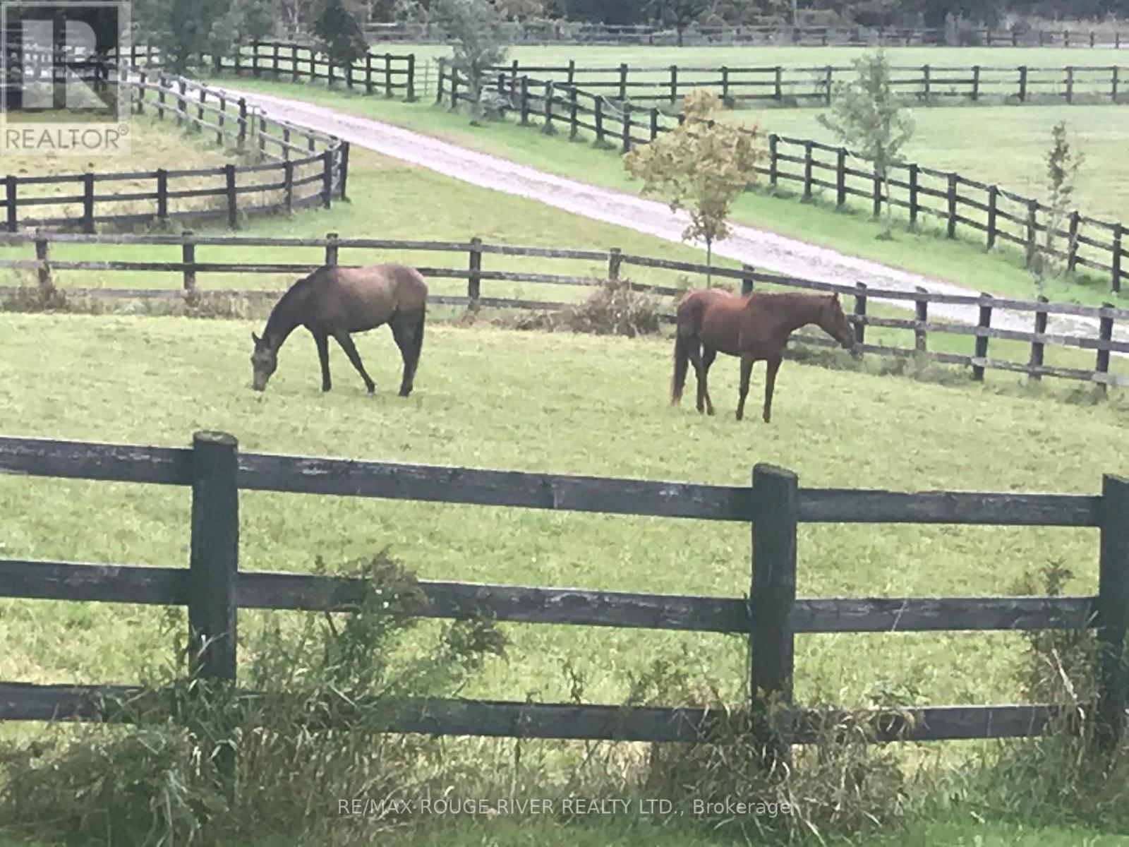 436 Eddystone Road, Alnwick/haldimand, Ontario  K0K 2G0 - Photo 43 - X12834680